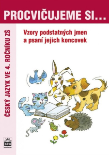 Procvičujeme si vzory podstatných jmen pro 4. ročník