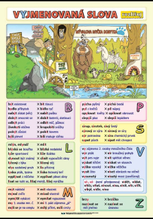 Vyjmenovaná slova - rozlišuj XL - Kupka